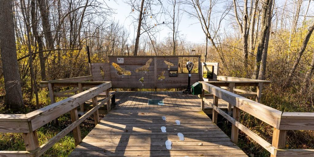 Boardwalk leading to blind with viewfinder and bird silhouette cutouts